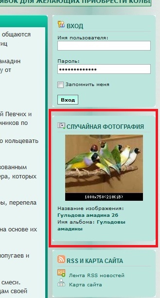 Изображение